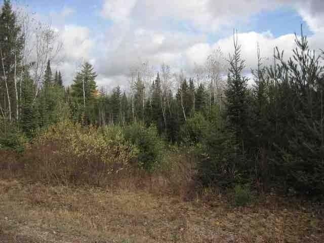 Tbd Tbd Cth Ff Mercer, WI 54547 - Photo 7 of 11 Gallery Image 7