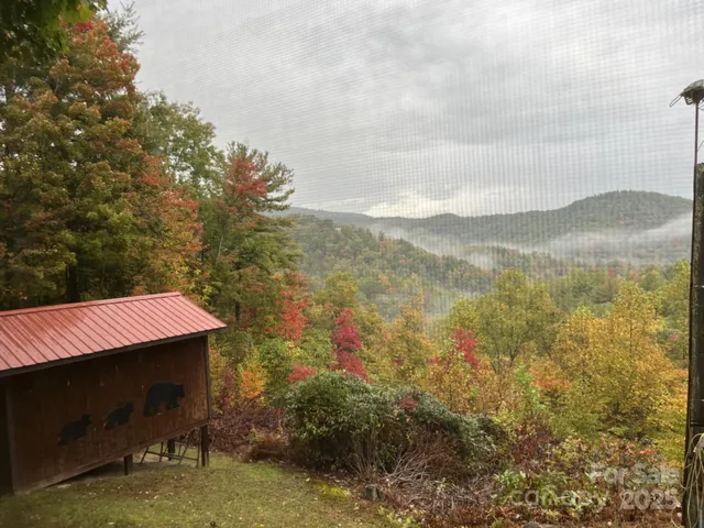 a backyard of a house with large trees