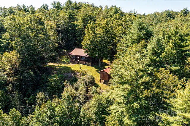 a view of a tree in a yard