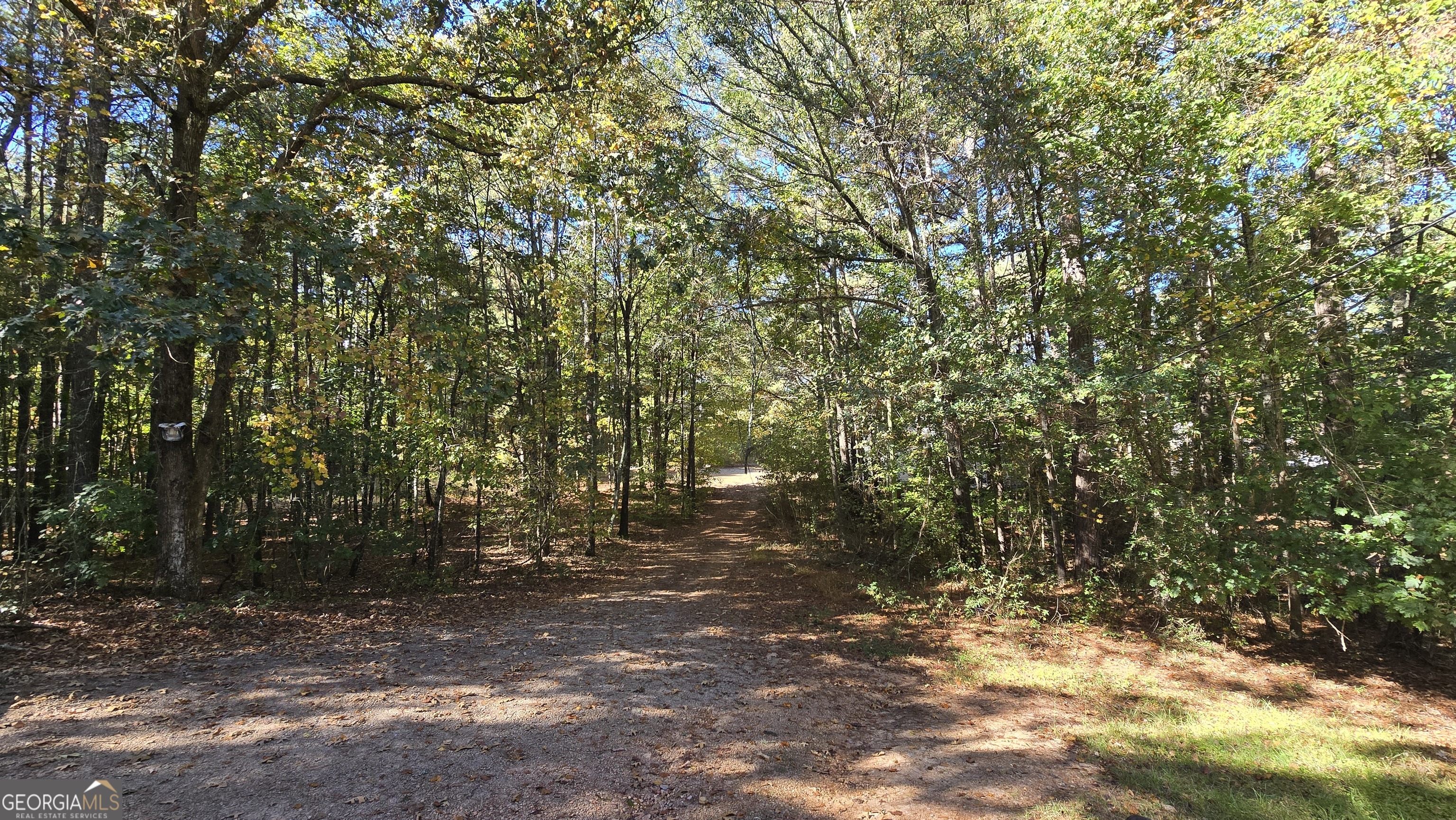 377 Dock Hyde Road Carrollton, GA 30116 - Photo 15 of 32 a view of forest