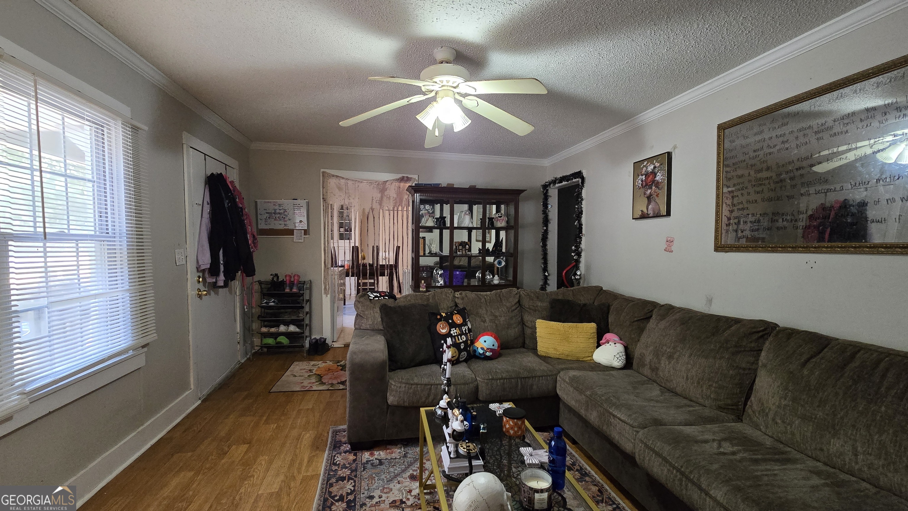 377 Dock Hyde Road Carrollton, GA 30116 - Photo 18 of 32 a living room with furniture and a flat screen tv with wooden floor