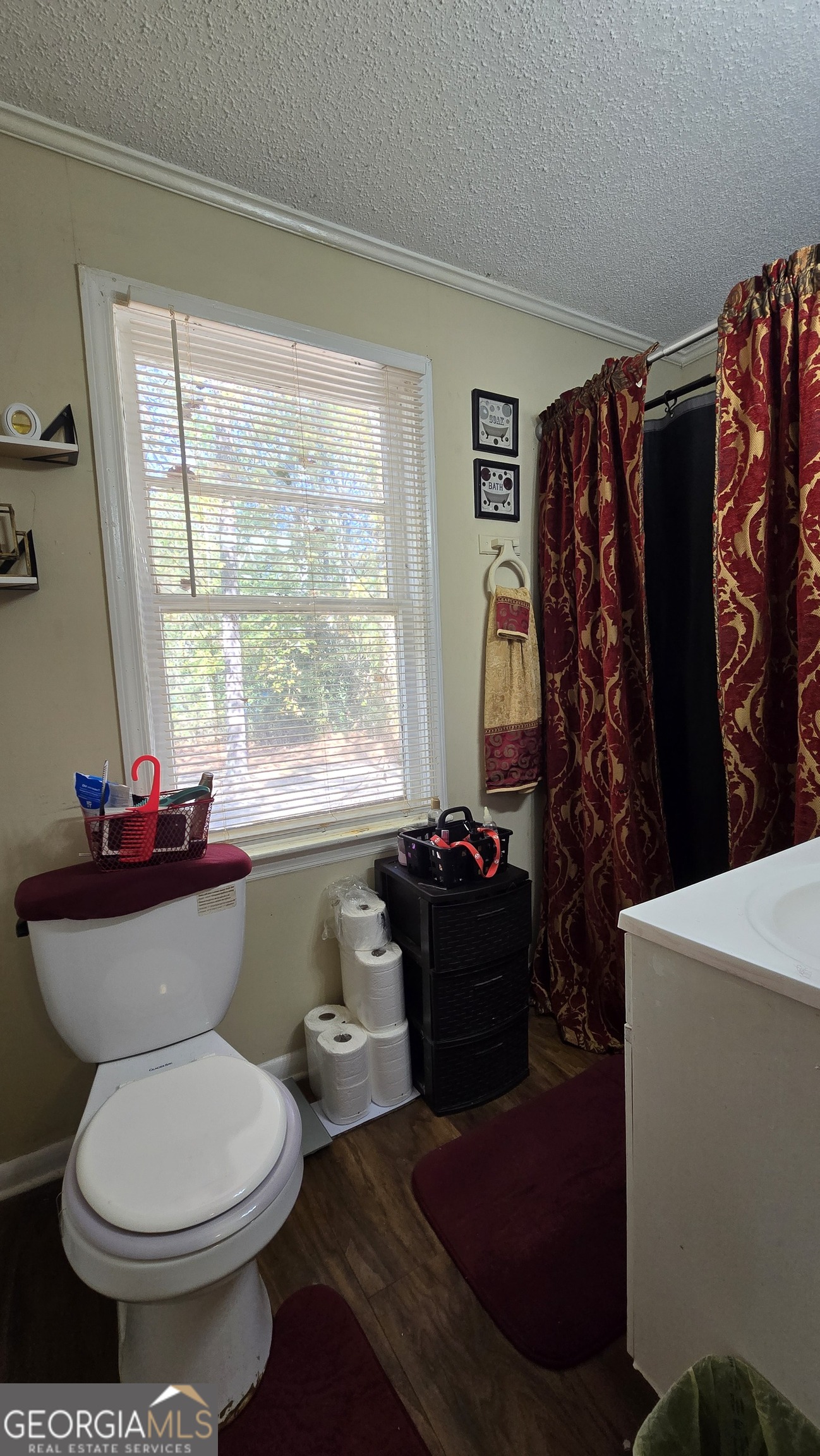 377 Dock Hyde Road Carrollton, GA 30116 - Photo 30 of 32 a bathroom with a toilet sink and shower