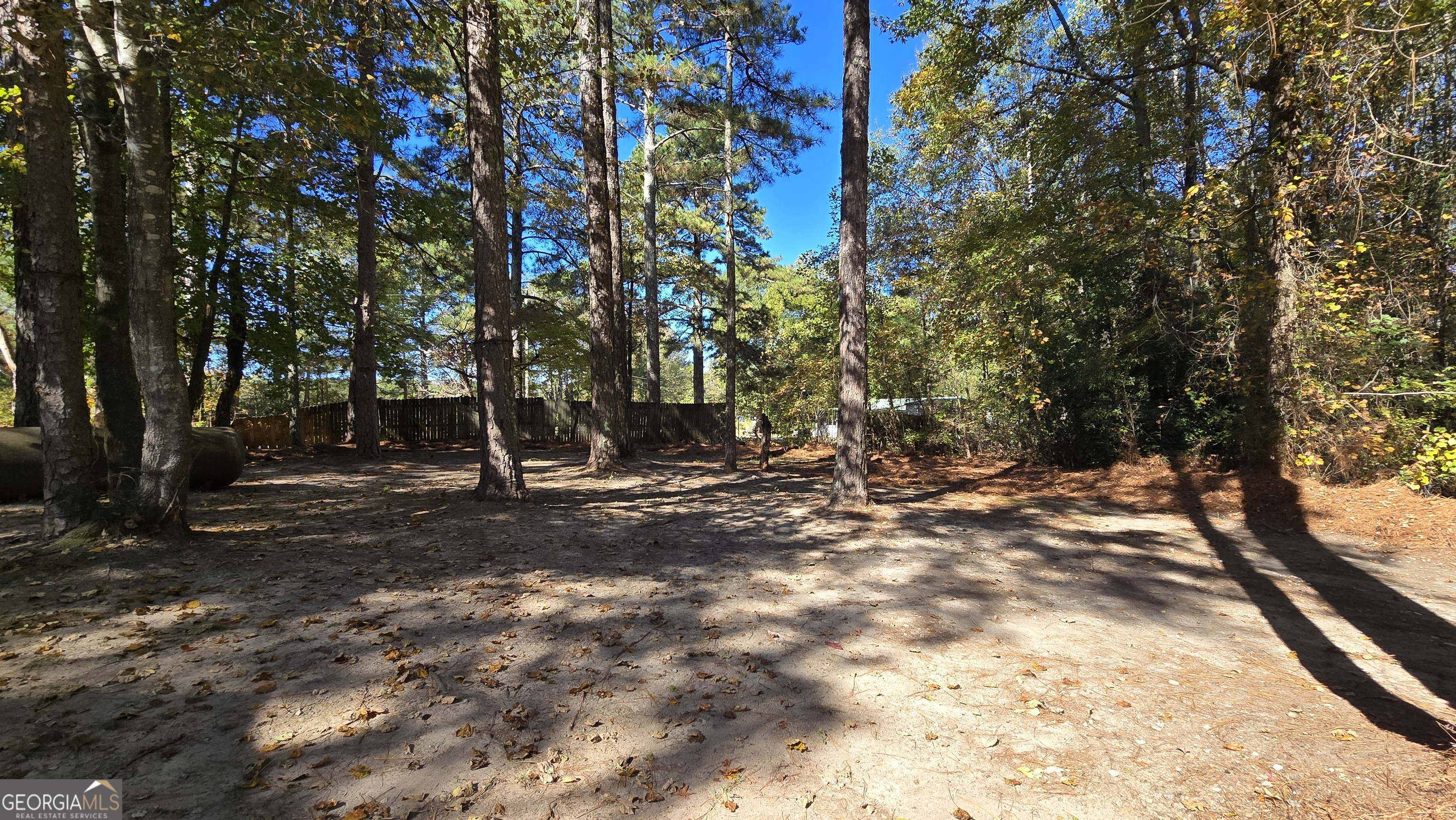 377 Dock Hyde Road Carrollton, GA 30116 - Photo 32 of 32 a view of a tree in the middle of a yard