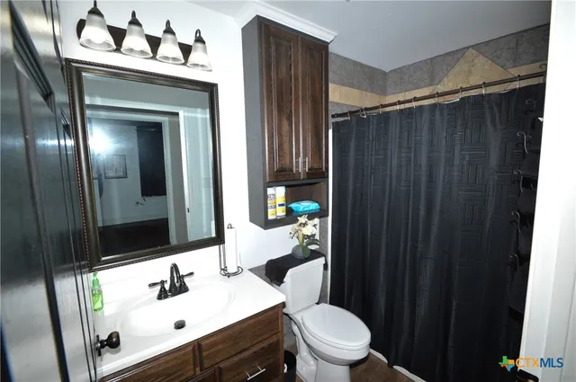 a bathroom with a sink vanity mirror and toilet