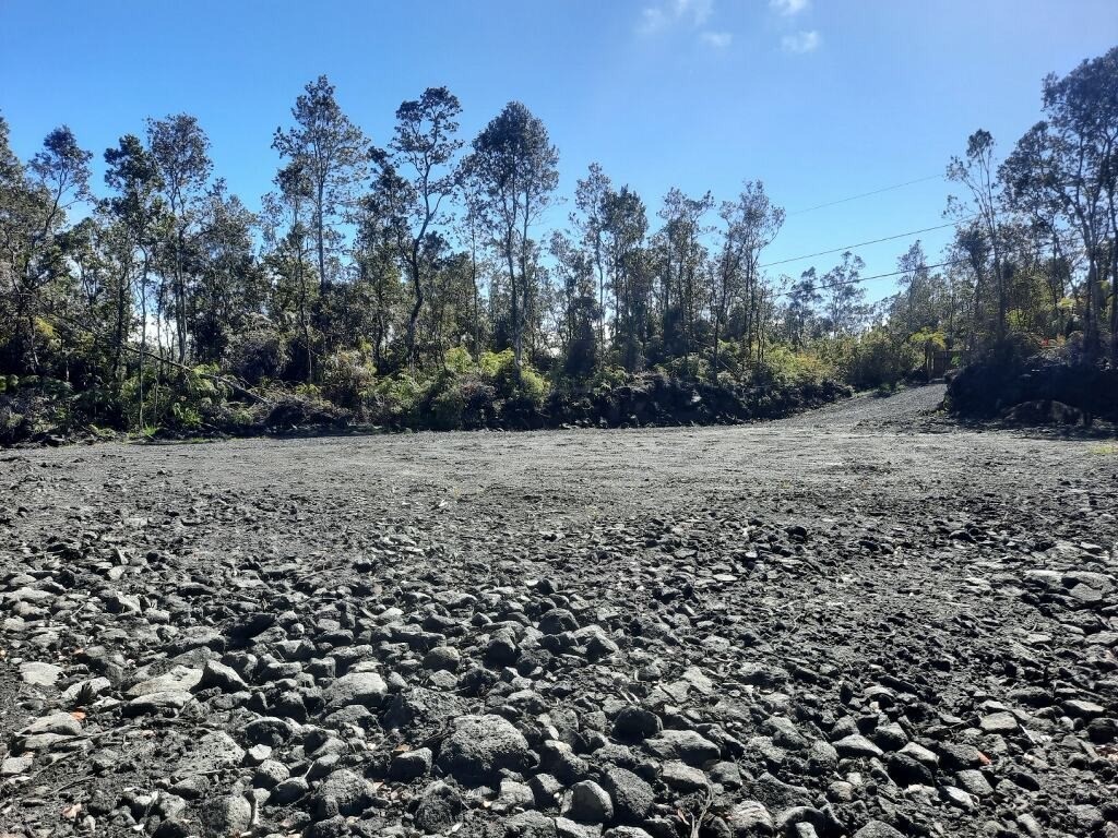 a view of a lots of trees