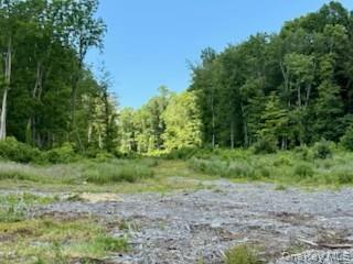 1 Chelsea Road Wappingers Falls, NY 12590 - Photo 6 of 12 a big yard with lots of green space and deers