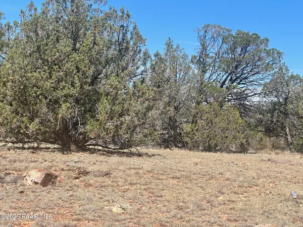 $19,900 | 32970 Forest Lane, Seligman, AZ 86337