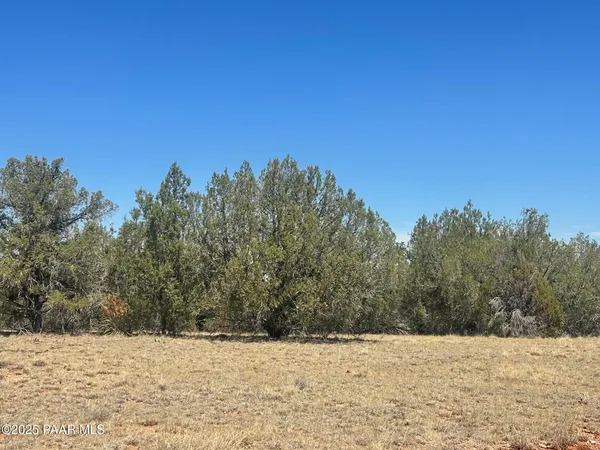 $19,900 | 32970 Forest Lane, Seligman, AZ 86337