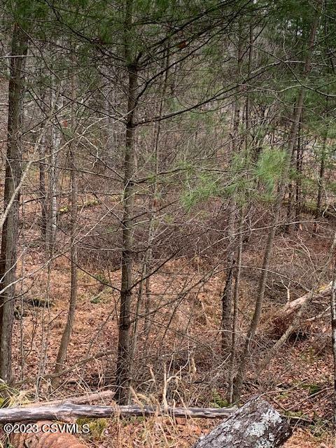 0 Central Road Benton, PA 17814 - Photo 7 of 16