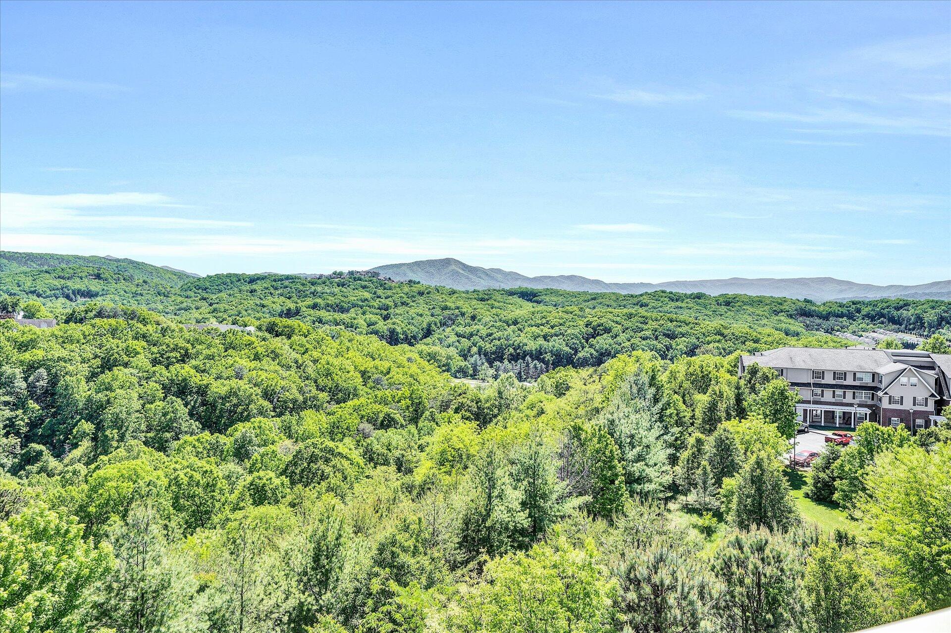 4438 Pheasant Ridge Road, Unit 405 Roanoke, VA 24014 - Photo 17 of 27 22-DSC00052