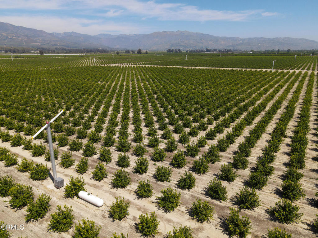 2417 South Mountain Road Fillmore, CA 93015 - Photo 11 of 23 DJI_0474
