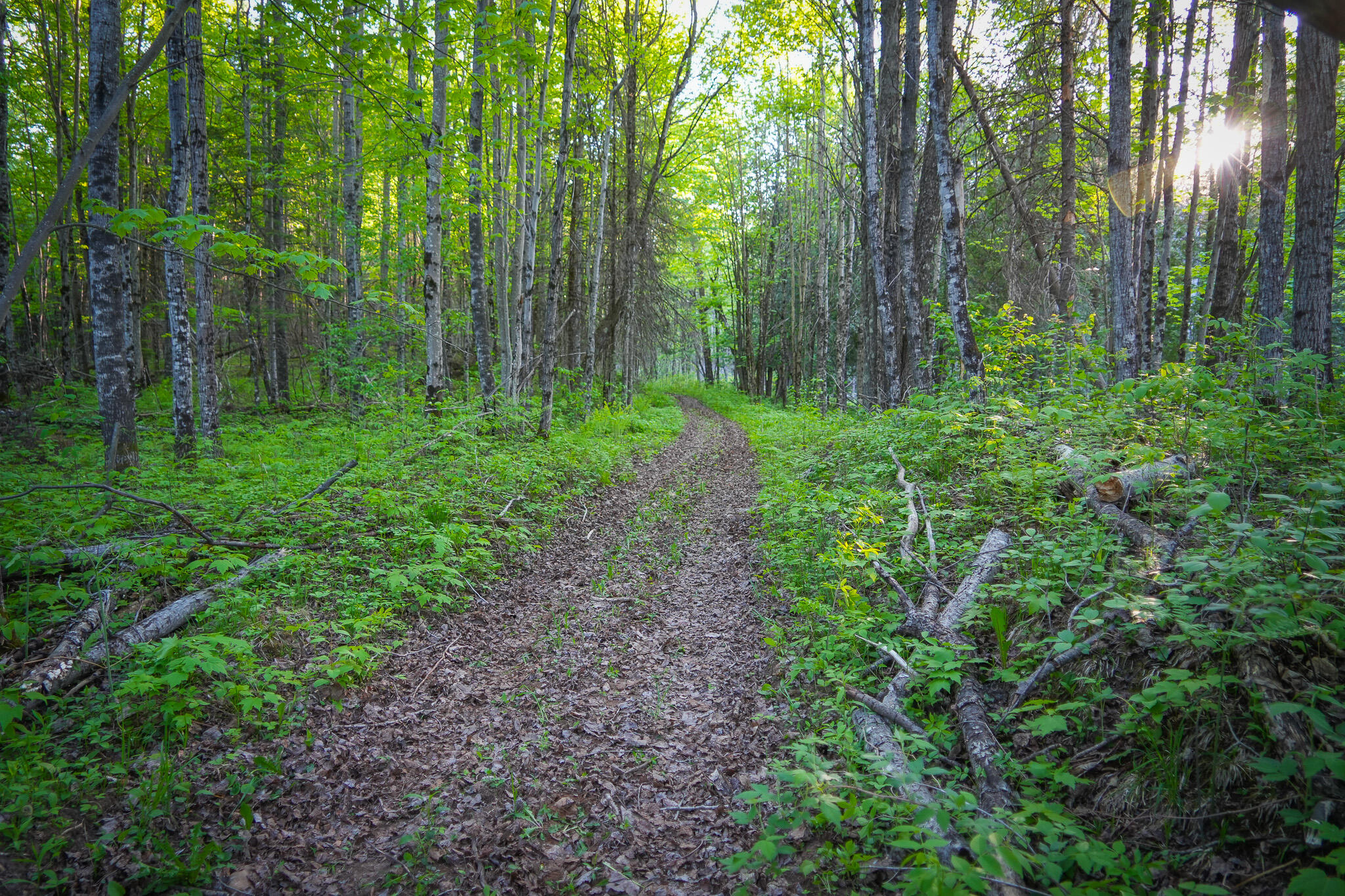 V/l V/l 33rd Road Perkins, MI 49872 - Photo 45 of 70 DSC00075
