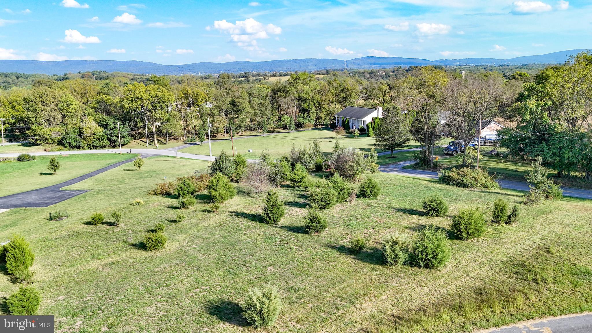 18614 Breathedsville Road Boonsboro, MD 21713 - Photo 6 of 13 a view of a lush green forest with lots of trees and houses