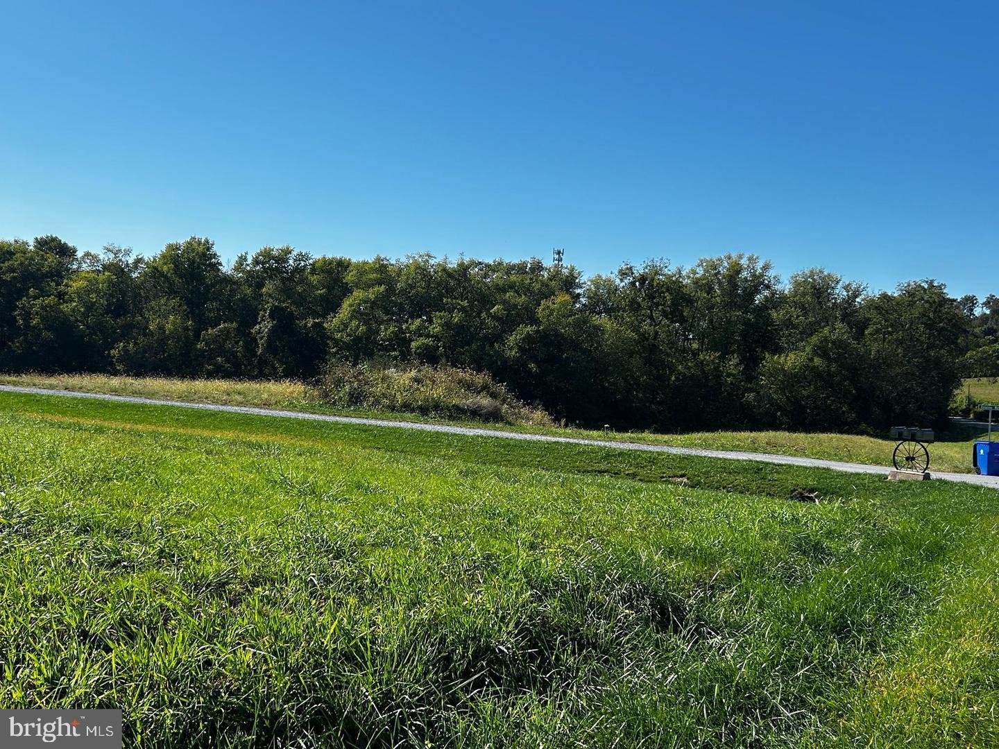7192 Rosalees Way Mount Airy, MD 21771 - Photo 5 of 10 a view of a field of grass and trees