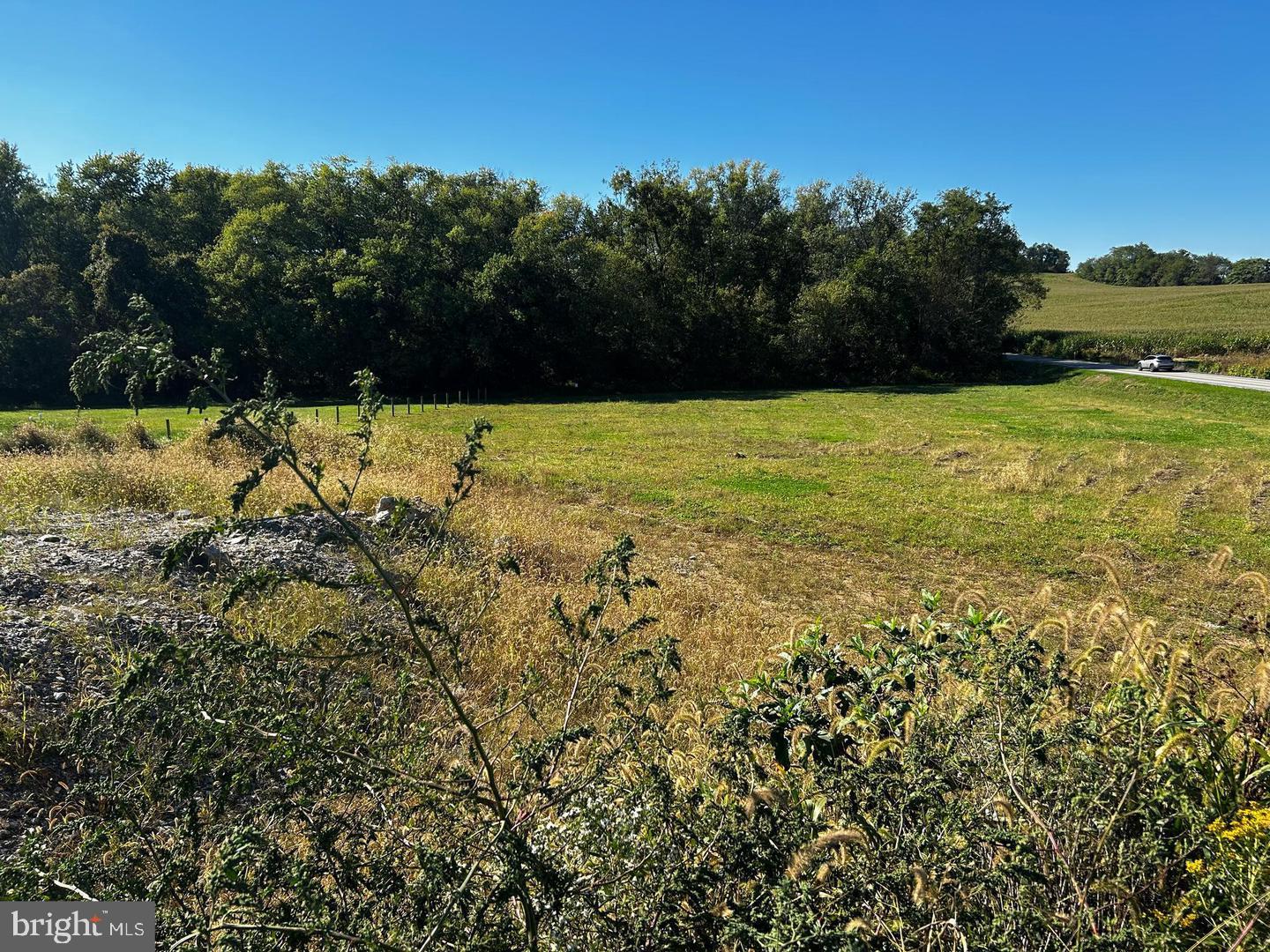7192 Rosalees Way Mount Airy, MD 21771 - Photo 9 of 10 a view of yard with swimming pool and green space
