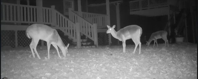 $687,000 | 1854 Powder Springs Circle, Flintstone, GA 30725