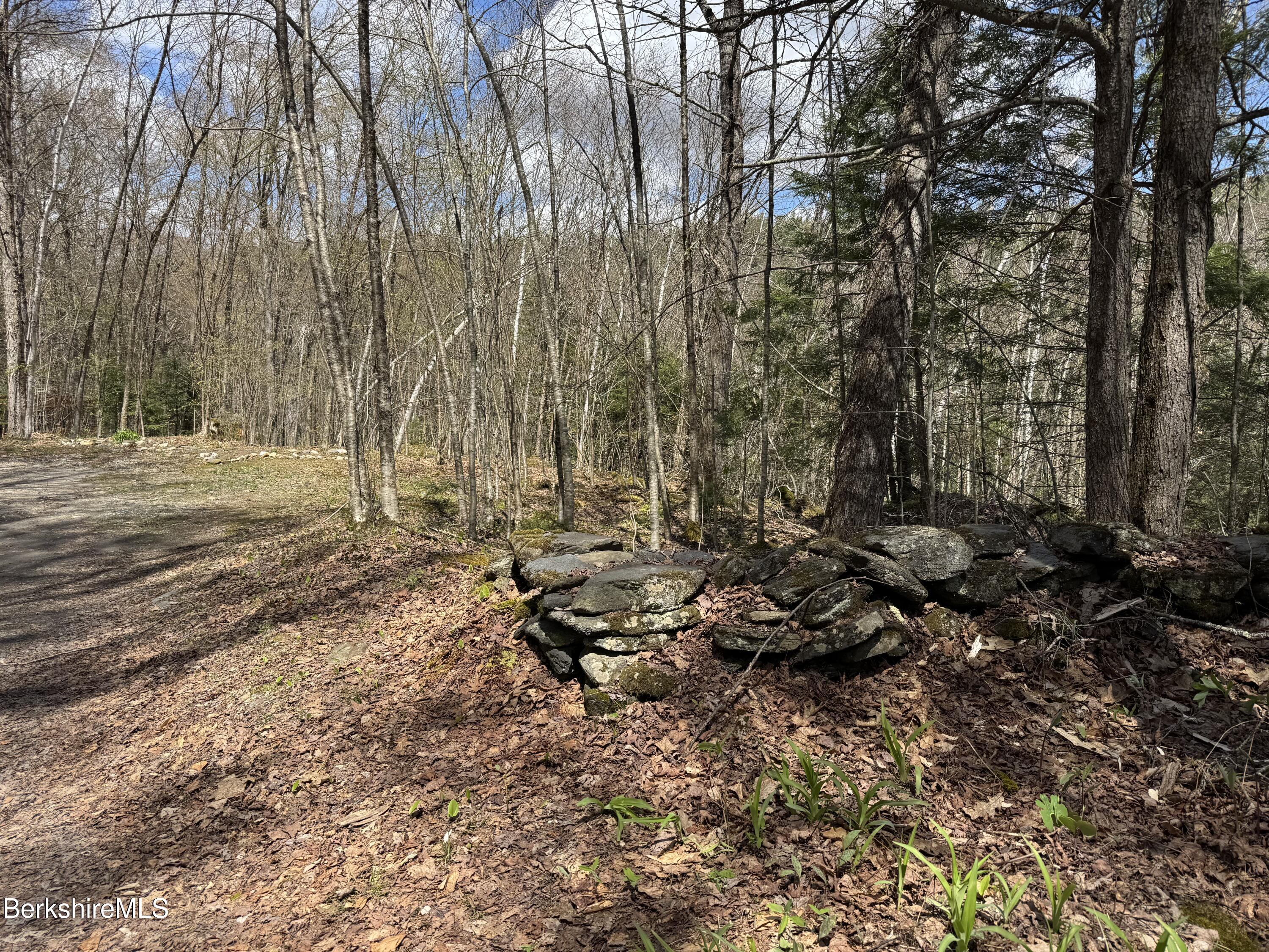 141 Stage Road Cummington, MA 01026 - Photo 13 of 25 a view of park with large trees