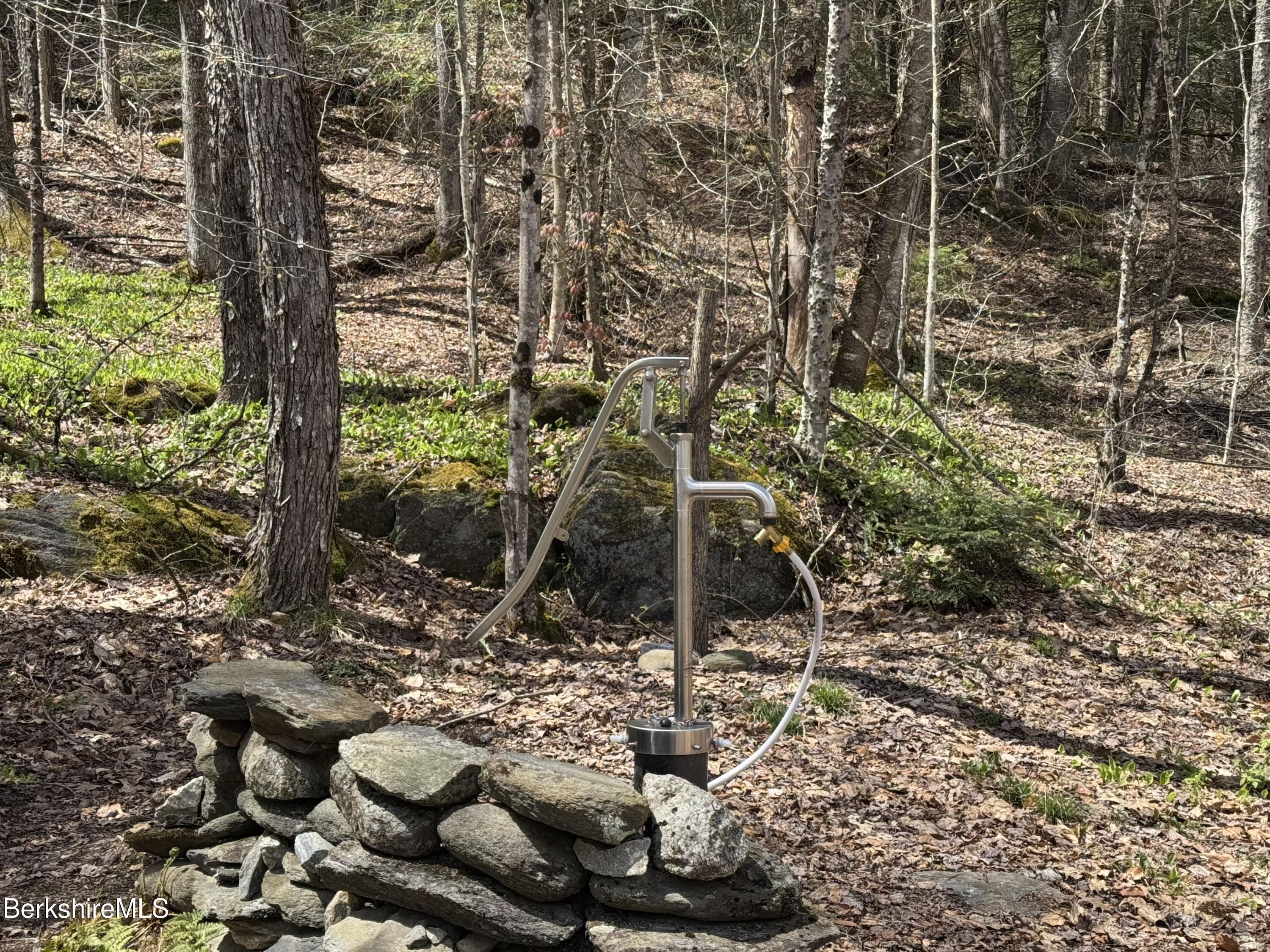 141 Stage Road Cummington, MA 01026 - Photo 5 of 25 a view of a tree with a yard