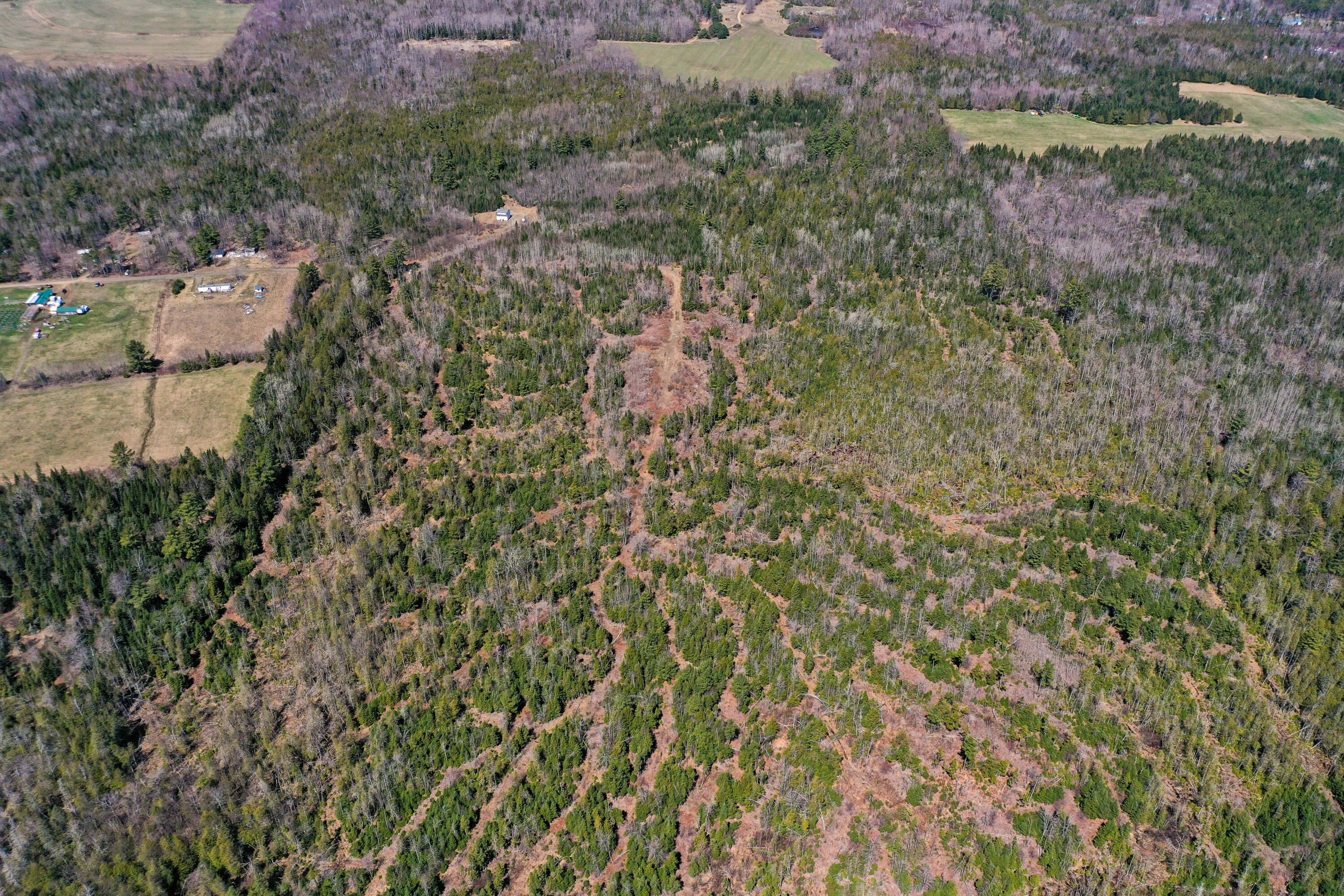 Lot 061 Worthen Road Corinna, ME 04928 - Photo 10 of 12 DJI_0534