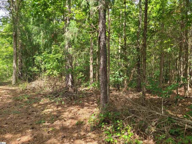 $109,890 | Deer Valley Road, Waterloo, SC 29384