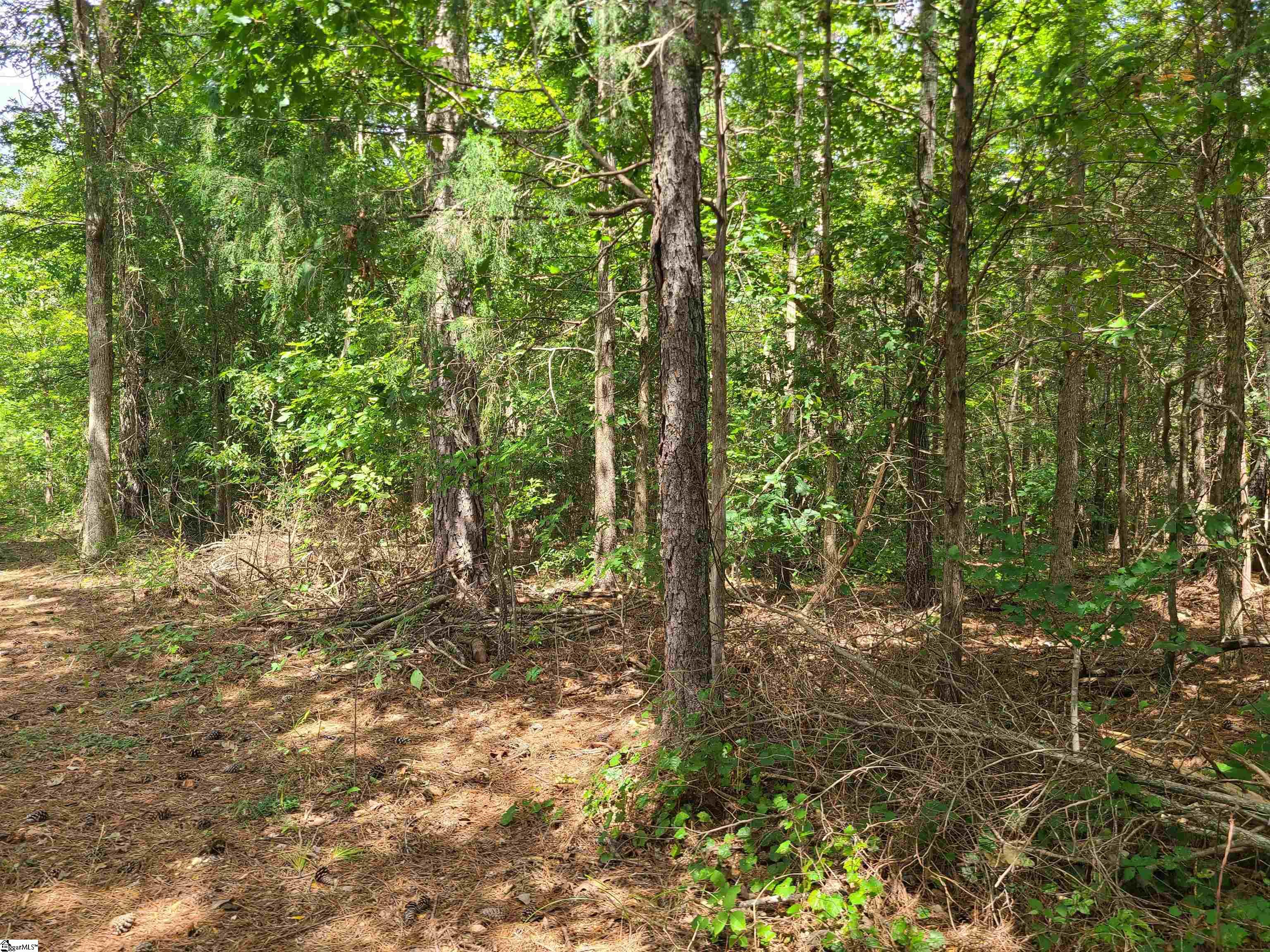 Deer Valley Road Waterloo, SC 29384 - Photo 3 of 3