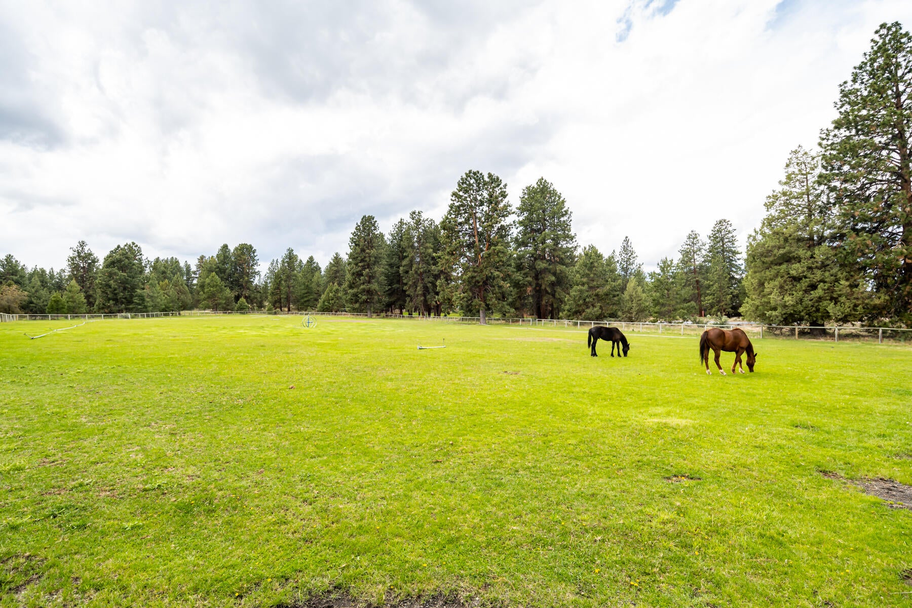21156 Sholes Road Bend, OR 97702 - Photo 46 of 63 55JH5_7639