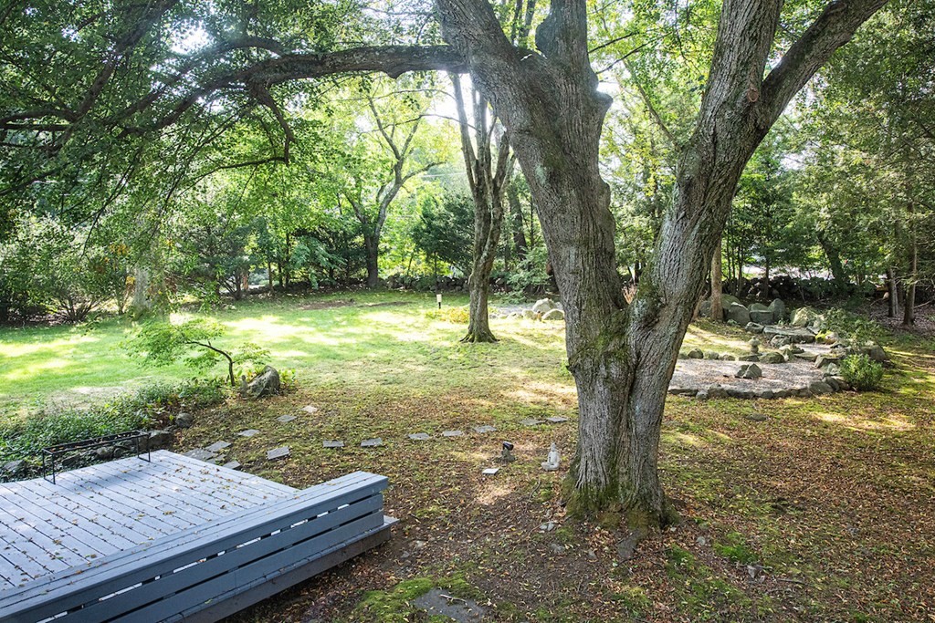 15 Field Road Lexington, MA 02421 - Photo 4 of 30