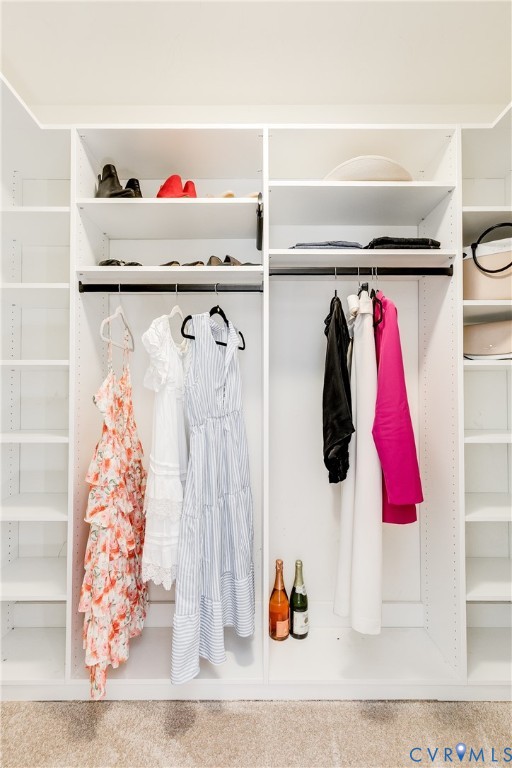 16044 Parsons Road Beaverdam, VA 23015 - Photo 8 of 44 a close up view of a shower curtain