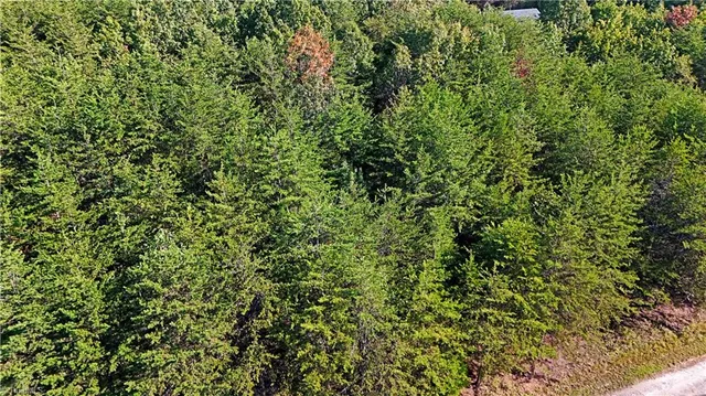 $42,900 | 2-0 Beasley School Road, Sandy Ridge, NC 27046