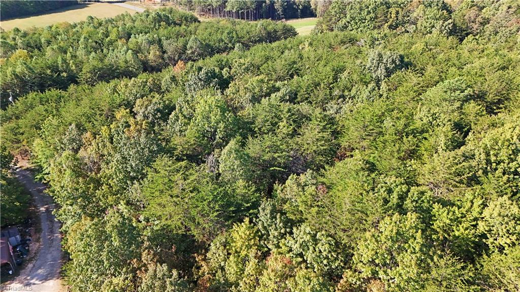 2-0 Beasley School Road Sandy Ridge, NC 27046 - Photo 13 of 16