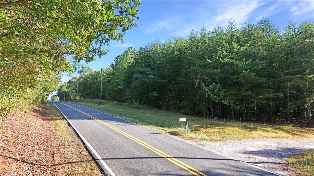 2-0 Beasley School Road Sandy Ridge, NC 27046 - Photo 14 of 16