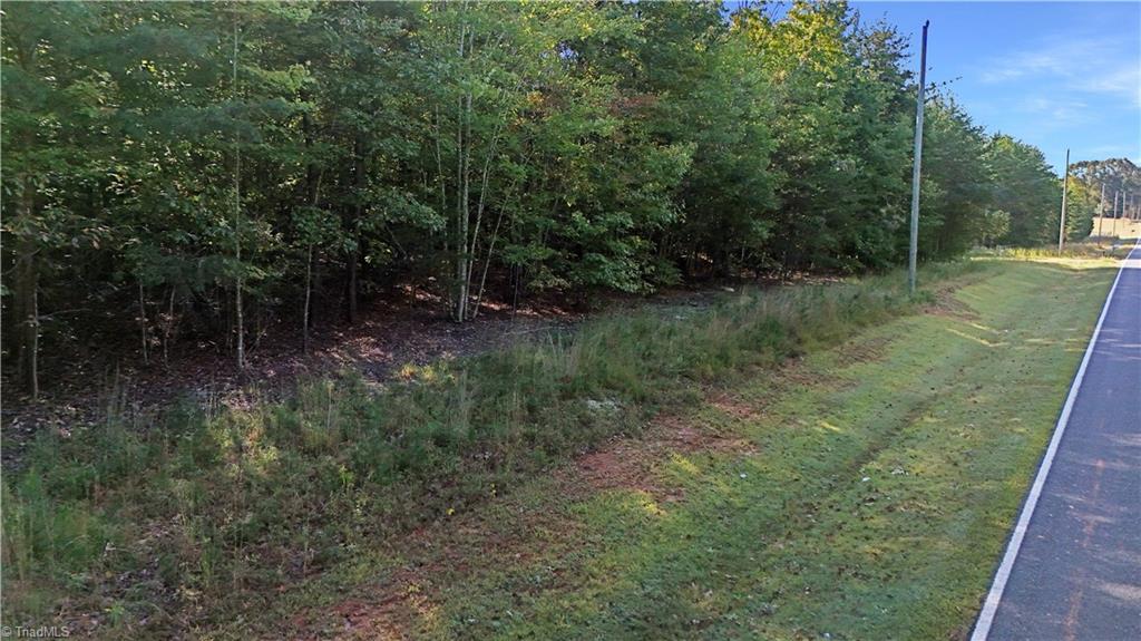 2-0 Beasley School Road Sandy Ridge, NC 27046 - Photo 5 of 16