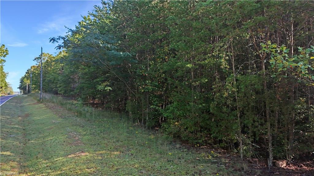 2-0 Beasley School Road Sandy Ridge, NC 27046 - Photo 6 of 16