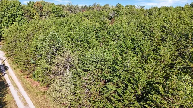 $42,900 | 2-0 Beasley School Road, Sandy Ridge, NC 27046