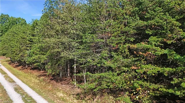 $42,900 | 2-0 Beasley School Road, Sandy Ridge, NC 27046