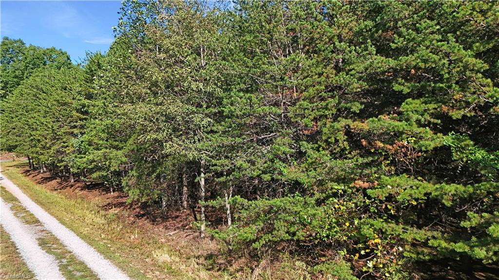 2-0 Beasley School Road Sandy Ridge, NC 27046 - Photo 8 of 16