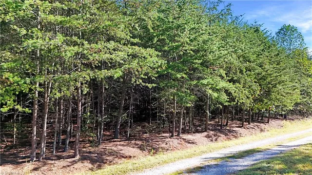 $42,900 | 2-0 Beasley School Road, Sandy Ridge, NC 27046