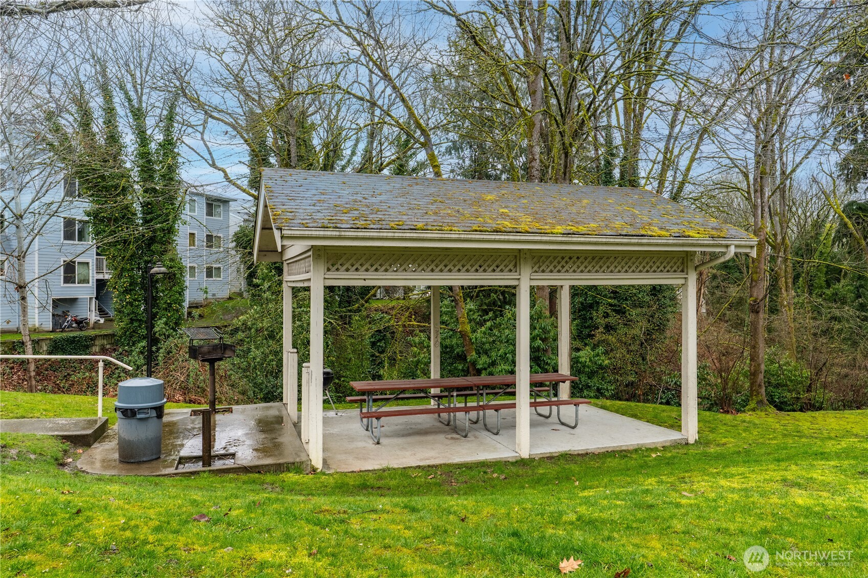 975 Aberdeen Avenue Northeast, Unit F207 Renton, WA 98056 - Photo 20 of 24 a view of a house with backyard and a tree