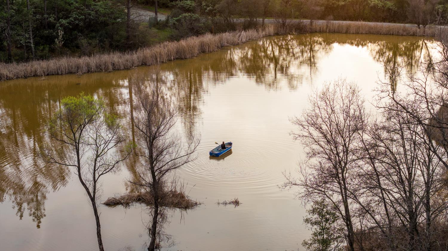 16098 Wild Oak Ranch Road Grass Valley, CA 95949 - Photo 3 of 45