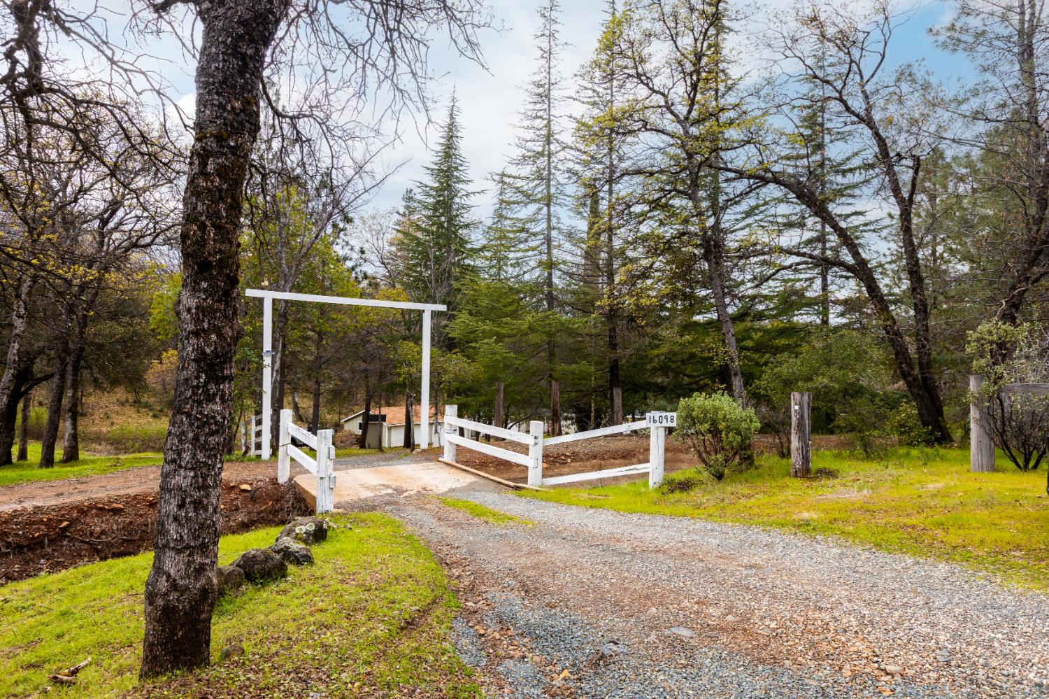 16098 Wild Oak Ranch Road Grass Valley, CA 95949 - Photo 5 of 45 a view of a swimming pool with a patio