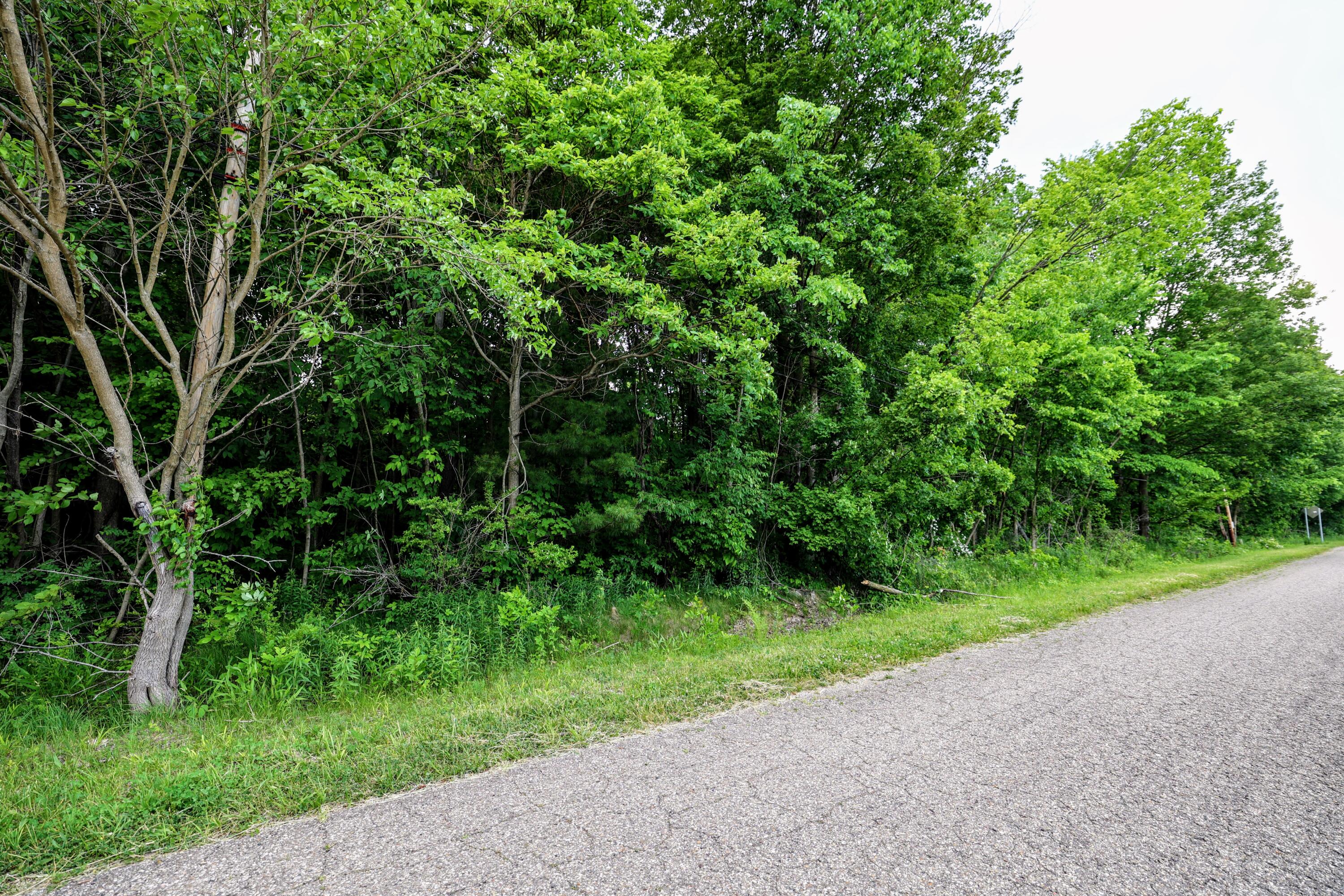 Vl Black River Road Bangor, MI 49013 - Photo 43 of 54 43