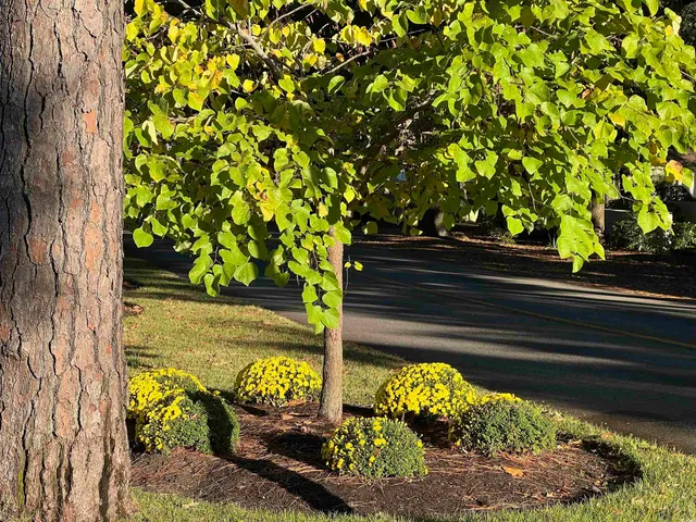 $230,000 | 415 Ocean Creek Drive, Unit 2188, Myrtle Beach, SC 29572