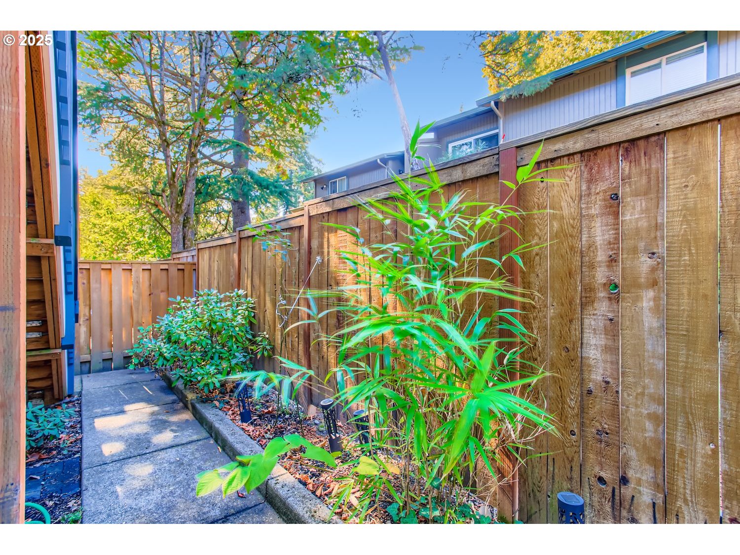 12119 Southwest Tesla Terrace Beaverton, OR 97008 - Photo 26 of 31 a view of a backyard with plants