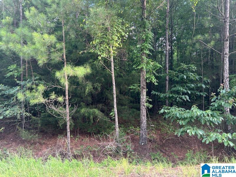 518 County Road Selma, AL 36701 - Photo 2 of 3