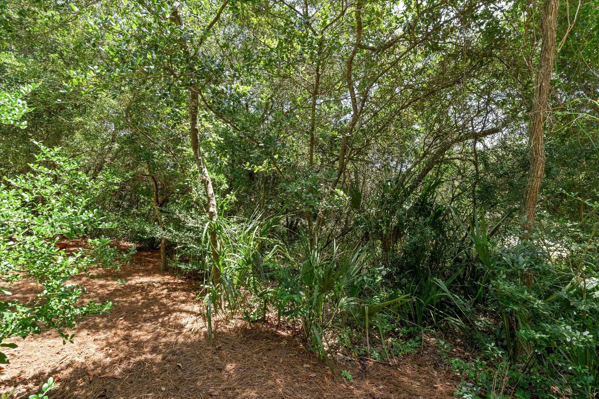 1430 Regency Road, Unit C103 Gulf Shores, AL 36542 - Photo 17 of 29 Path