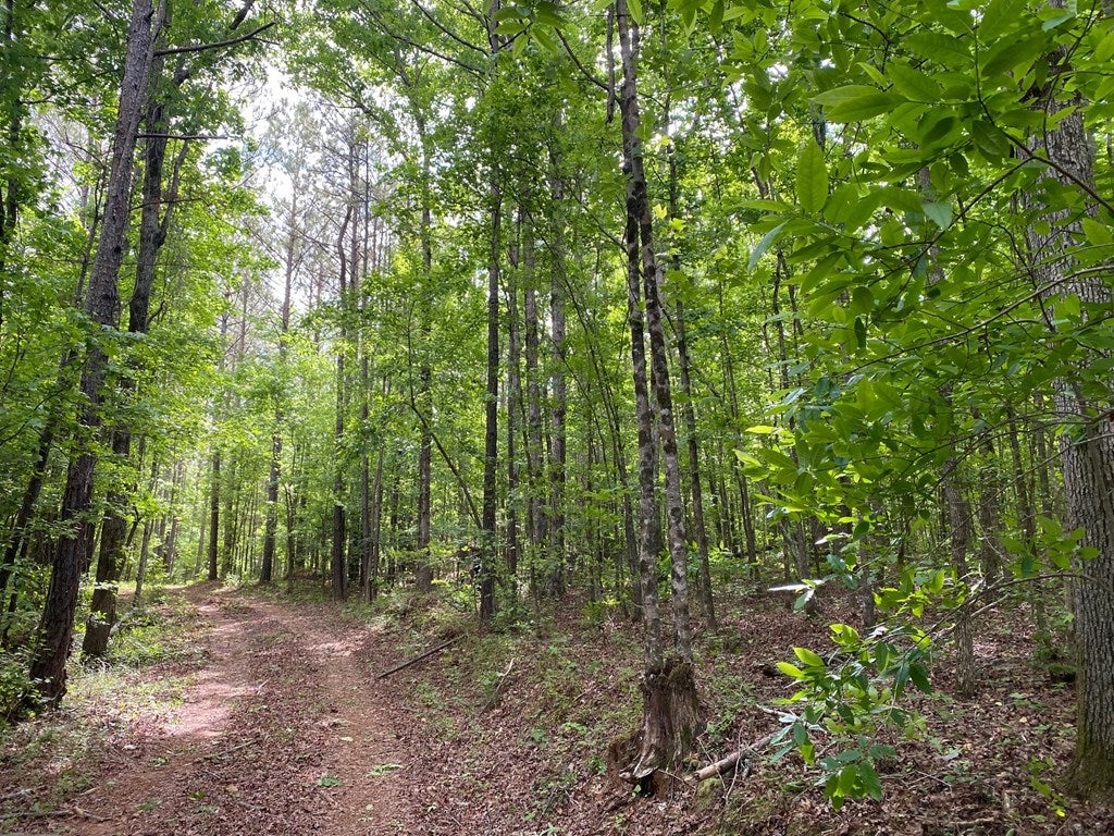 0 Rocky Creek Road Forsyth, GA 31029 - Photo 3 of 8 Gallery Image 3