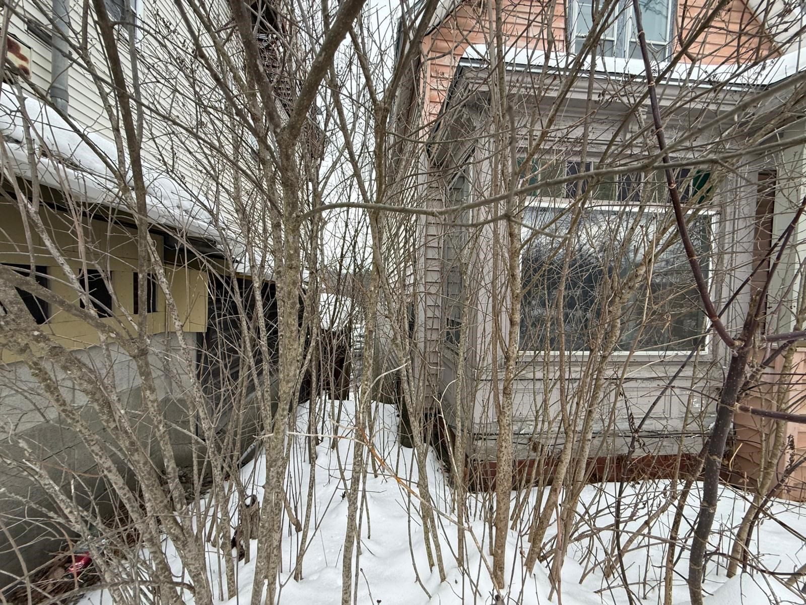 12 Pleasant Street Randolph, VT 05060 - Photo 4 of 40