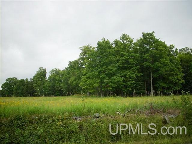 155 Buck Lake Park Road Crystal Falls, MI 49920 - Photo 10 of 13 Gallery Image 10