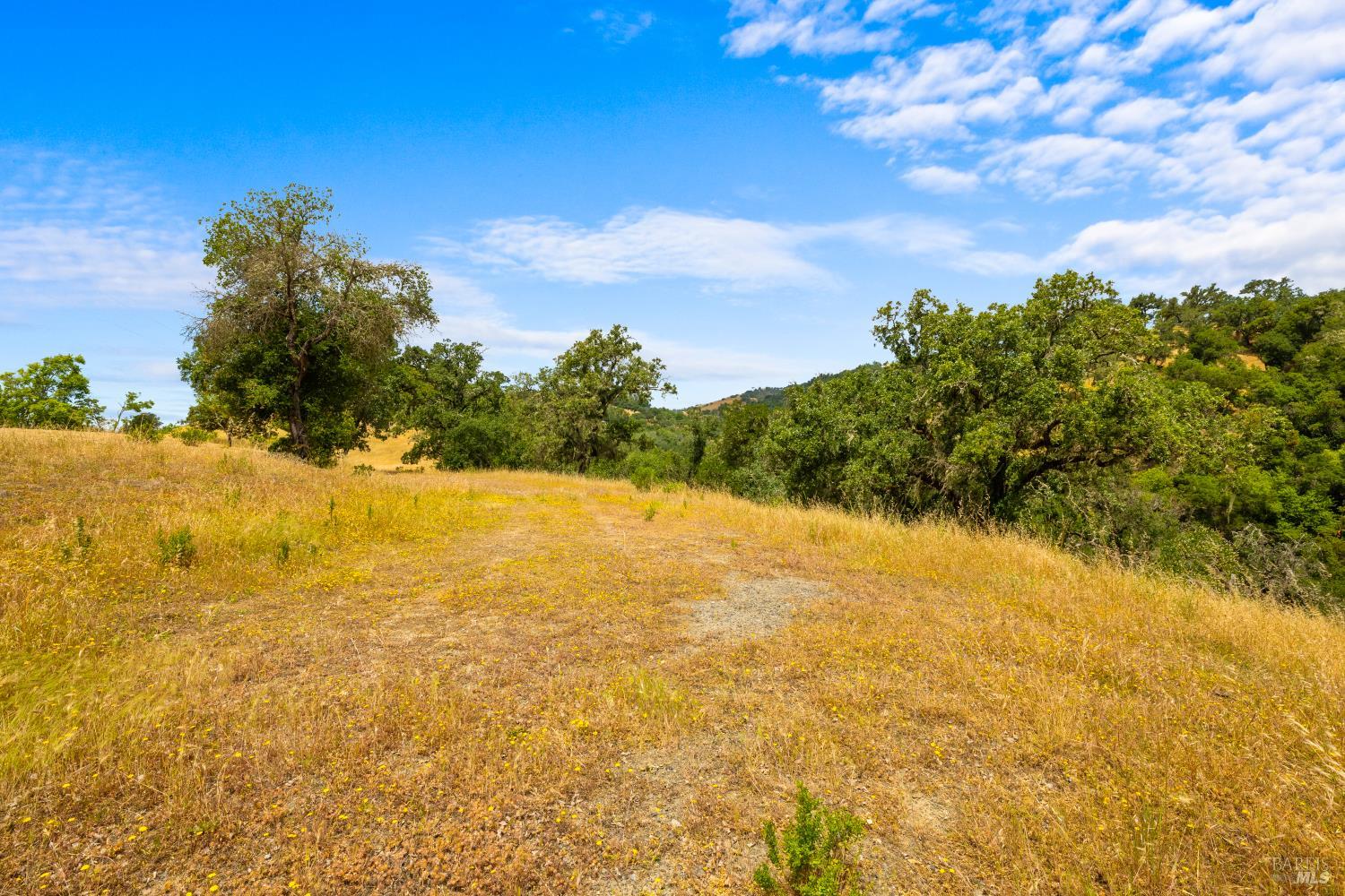 23655 Vineyard Road Geyserville, CA 95441 - Photo 20 of 38