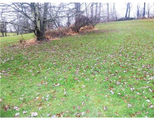 664 Beatty Road Monroeville, PA 15146 - Photo 12 of 14 Yard/Garden. The left rear of the property.